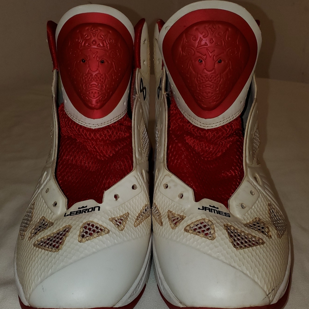Nike Lebron James Mens size 12